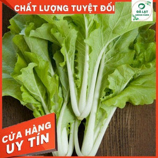 🌱HẠT GIỐNG CẢI BẸ TRẮNG_20GR(TỈ LỆ NẢY MẦM CAO)🌱