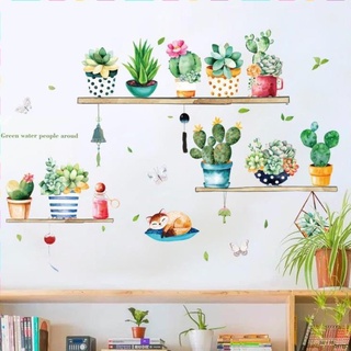 Decal dán tường mẫu kệ xương rồng HM71007 Zooyoo