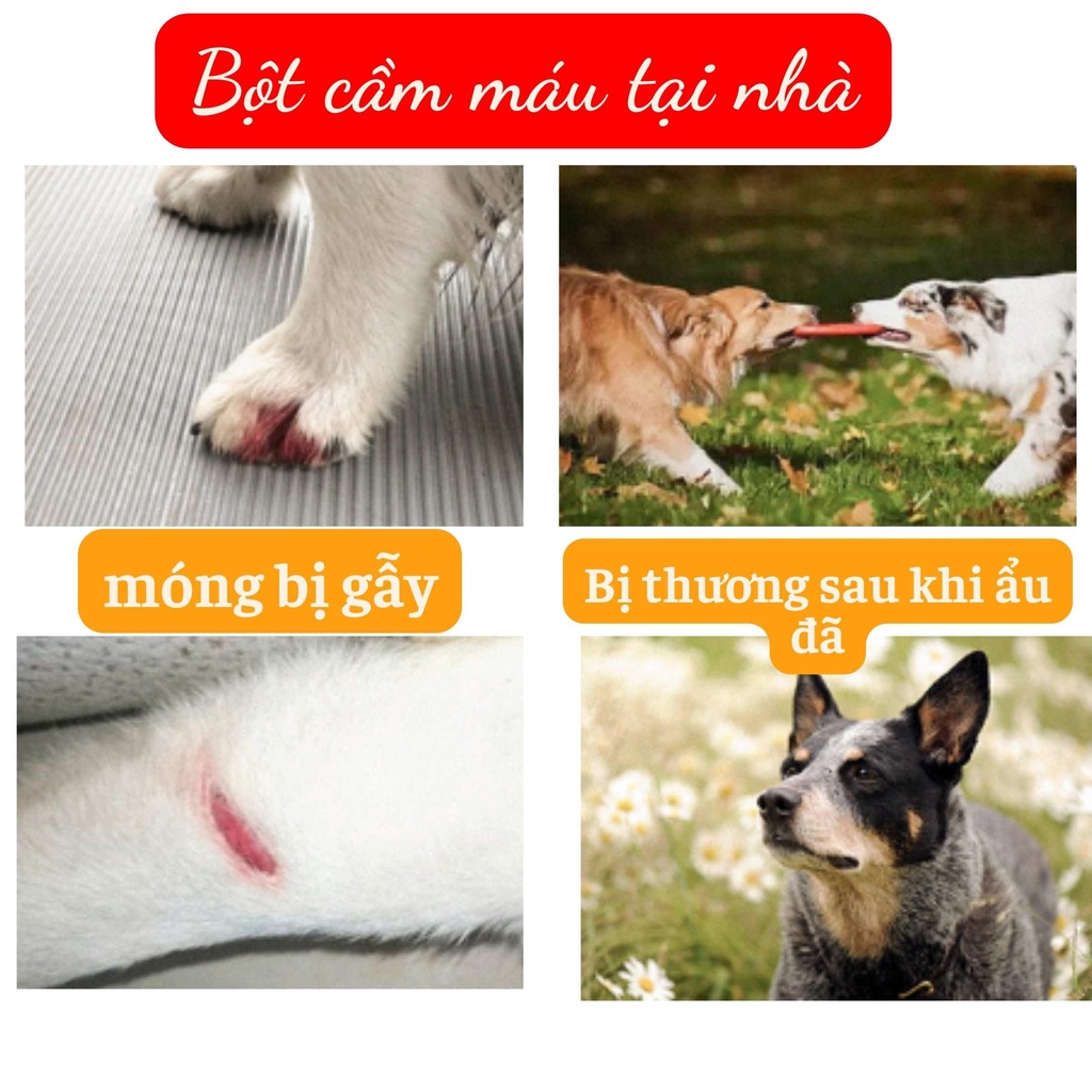 [Chính hãng] BỘT CẦM MÁU BIOLINE CHO CHÓ VÀ MÈO - GOUMAO PET