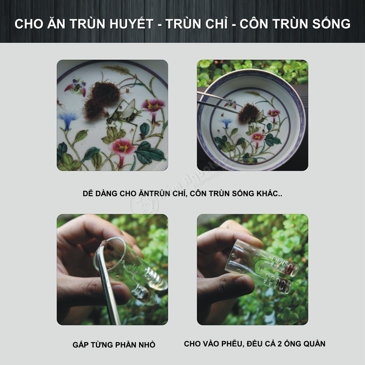 Phễu Acrylic Đa Năng Hình Ống Quần | Cho Cá Ăn Trùn Chỉ, Actermia, Bobo - Bẫy Sán - Bẫy Ốc Hại