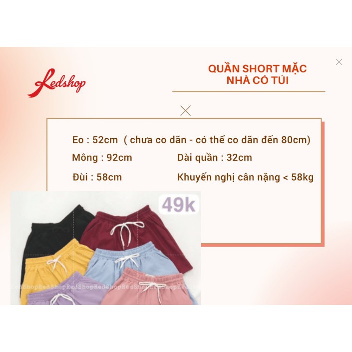 Quần Đùi Short Thun Mặc Nhà Cạp Chun Co Dãn Tốt Có Túi Nhiều Màu REDSHOP_25714