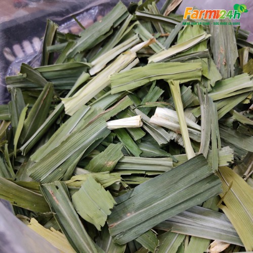 Lá dứa (lá nếp) sấy khô tự nhiên, mùi thơm nhẹ, nguyên liệu tạo mùi hương và màu sắc cho các món ngon | Farm24h