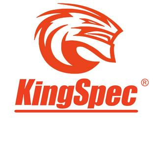 KingSpec Official Store