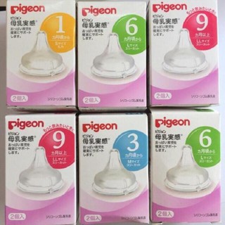 Núm Ty Pigeon cổ rộng Nội Địa