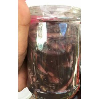 Mắm mực