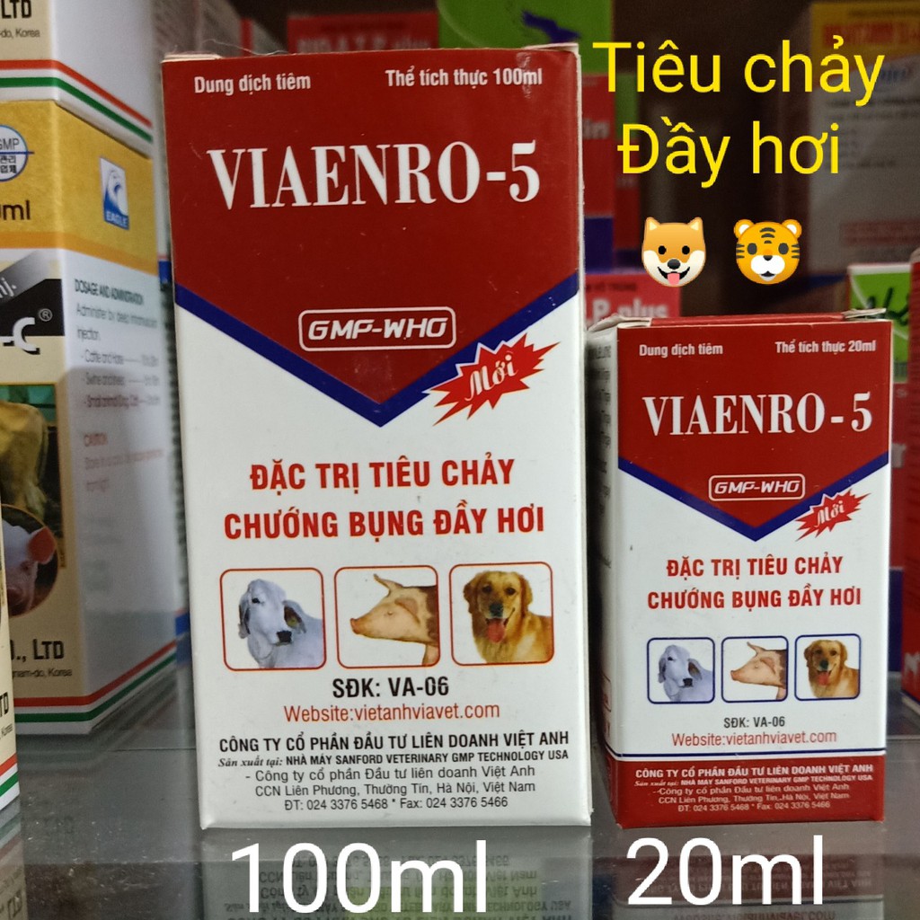 VIAENRO 5 - Tiêu Chảy, Chướng Bụng Đầy Hơi Gia súc ,Gia cầm
