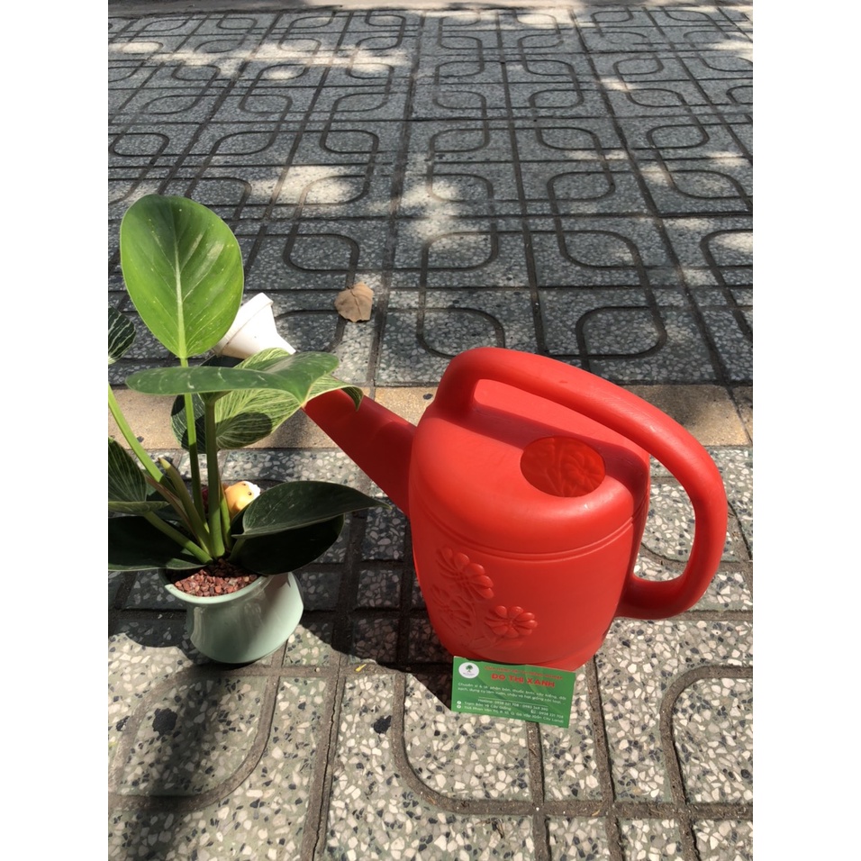 BÌNH TƯỚI CÂY VÒI SEN BẰNG NHỰA 5L-7L SIÊU BỀN, MÀU NGẪU NHIÊN