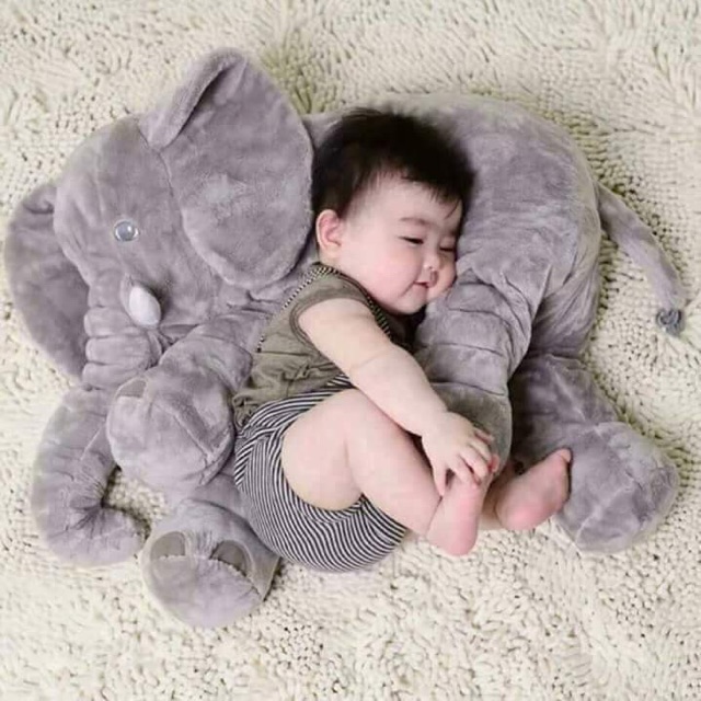 Set gấu cho khách lẻ