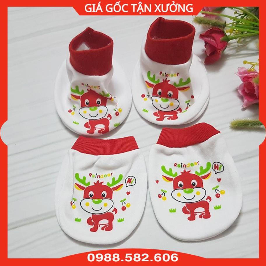 Bao Tay + Chân Kerokid Cho Bé Sơ Sinh Chất Cotton - Họa Tiết Đa Dạng - BTT00105