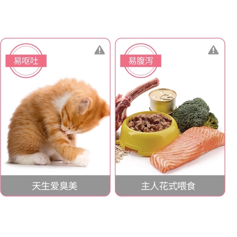 Men vi sinh cho mèo Inkat với Probiotic và Glutamine Men tiêu hóa ngừa bệnh cho mèo IN08