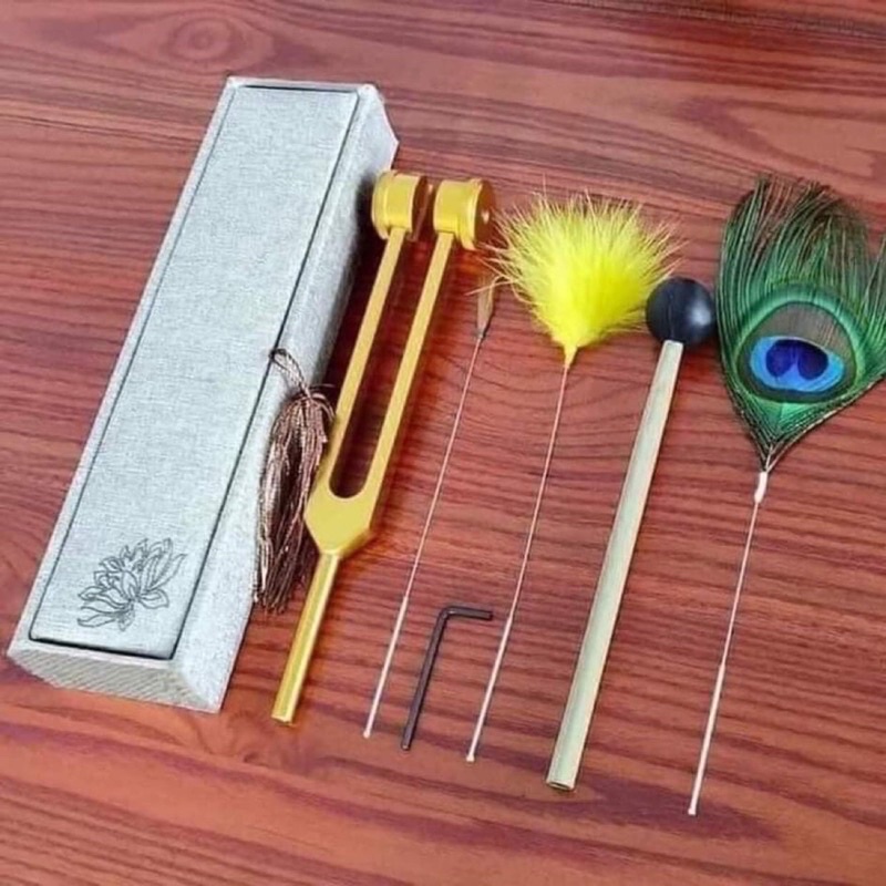 Bộ Chuông gội đầu chuẩn đông y trung hoa-bộ chuông gội đầu dưỡng sinh