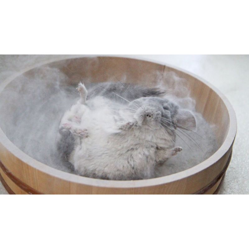 Cát tắm tro núi lửa cho Chinchilla - Bathing Sand Chinchilla