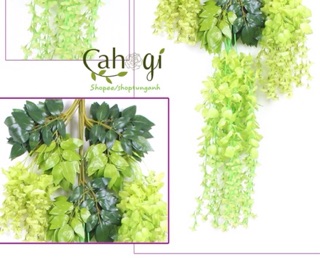 Hoa Giả - Cành Tử Đằng Trang Trí