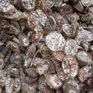 1kg Chuối hột rừng cắt lát
