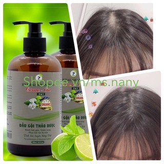 Combo 2 dầu gội thảo dược come on 2in1 500ml