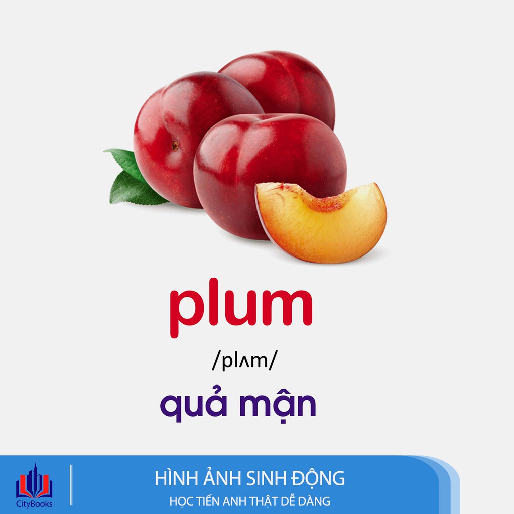 Sách - Flashcard Dạy trẻ theo phương pháp Glenn Doman - (6 chủ đề)