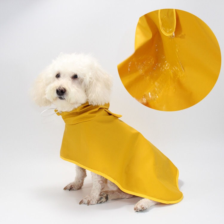 Áo mưa cho chó Corgi chống thấm nước mùa xuân và mùa hè Áo mưa Bichon Teddy vừa và lớn cho chó săn lông vàng kiểu áo cho