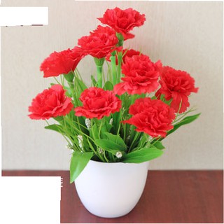 Chậu hoa để bàn xinh xắn