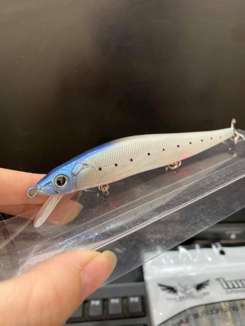 Cá Minnow Sanchem