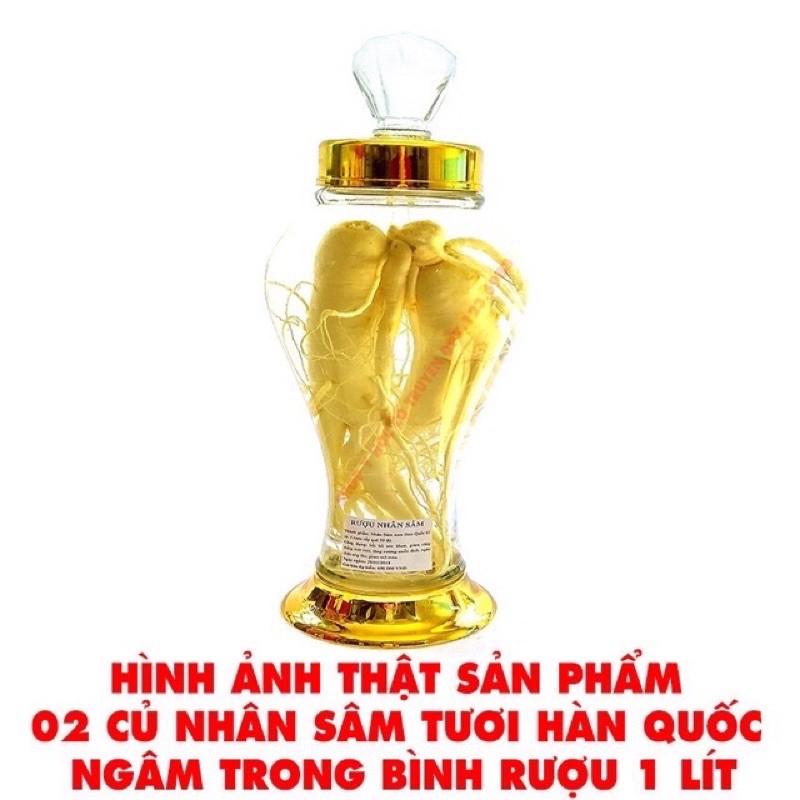 nhân sâm tươi 1 củ +🎁🎁🎁