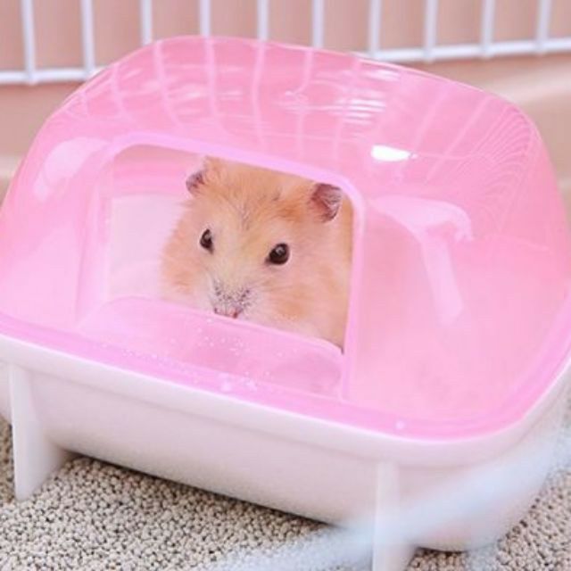 Nhà tắm hamster size lớn