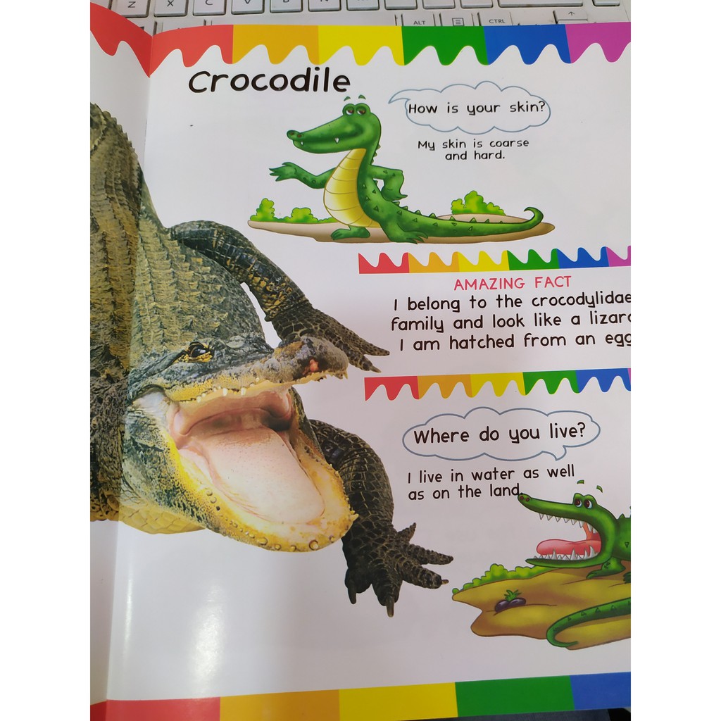 Sách - My First Questions & Answers - Reptiles & Amphibians - 8935072923242 | BigBuy360 - bigbuy360.vn