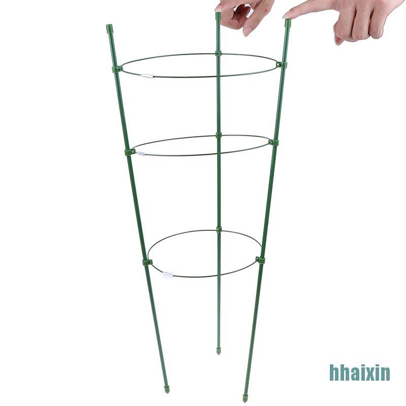 Khung giàn hỗ trợ trồng cây dây leo 60cm chuyên dụng