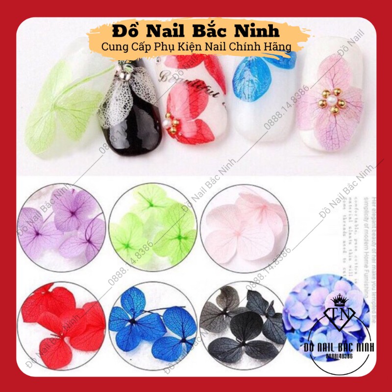 Hoa Khô San Hô Ẩn Móng, Trang Trí Nail 12 Màu Siêu Đẹp