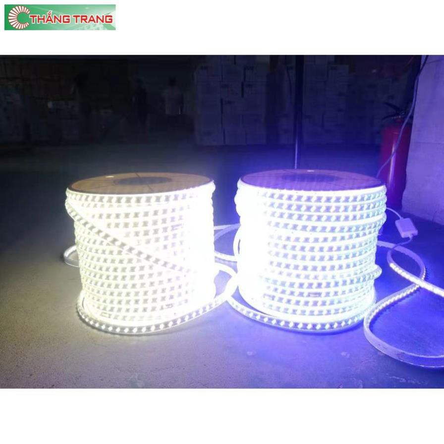LED DÂY 2835 ÁNH SÁNG VÀNG - TRẮNG - XANH DƯƠNG