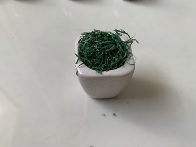 Chậu hoa sứ mini