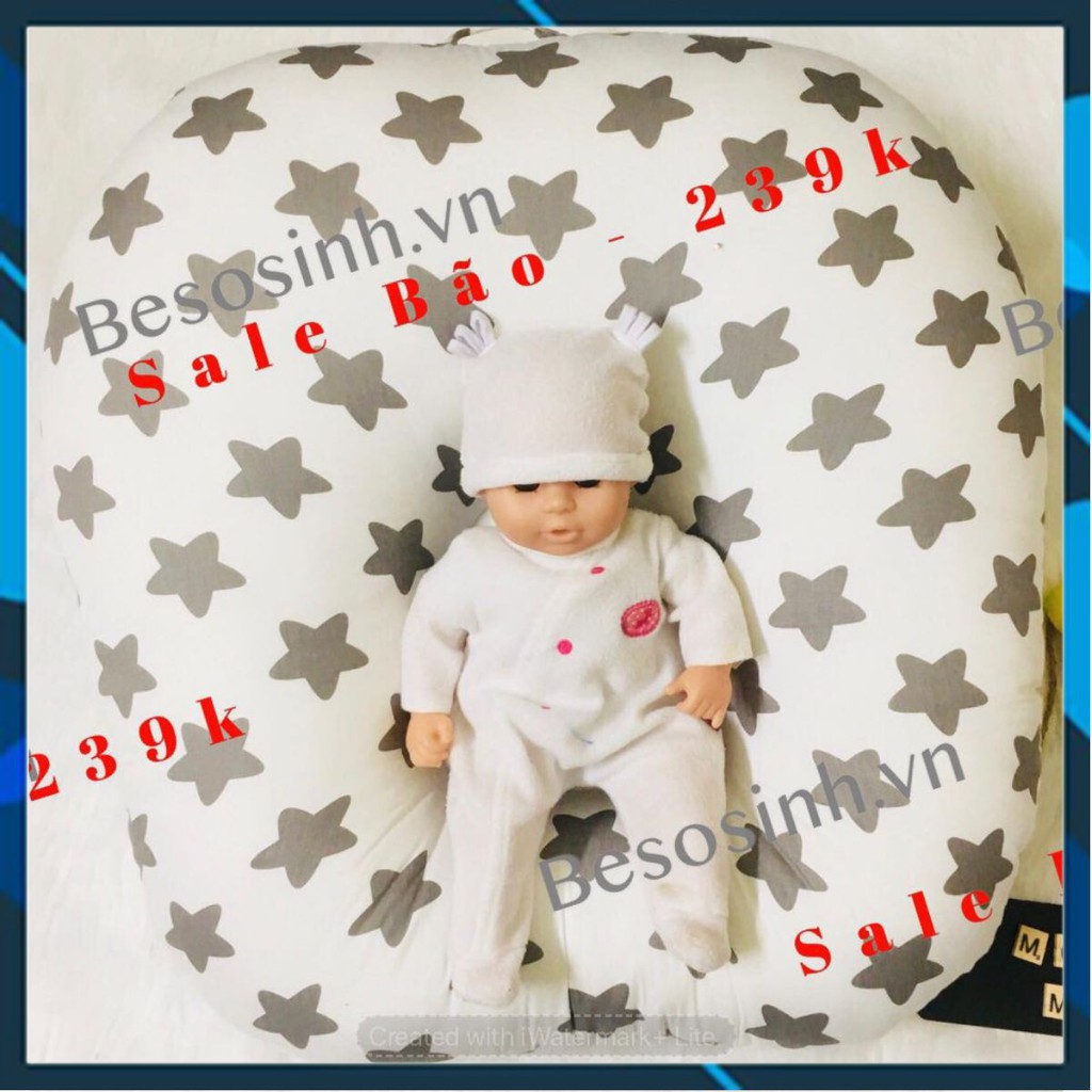 GỐI CHỐNG TRÀO NGƯỢC MON