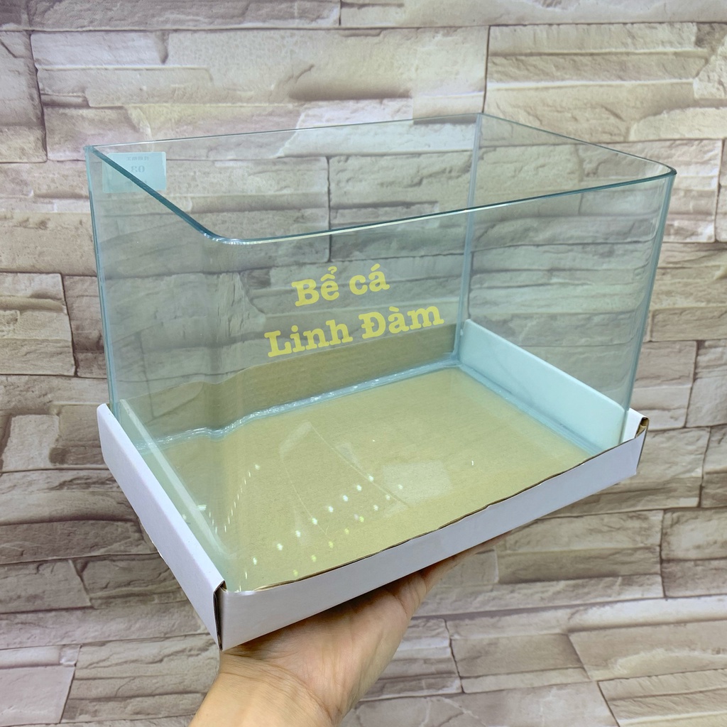 Bể Cá Chữ Nhật 25cm Kính Đúc Bo Góc Đẹp - Bể Cá Mini Để Bàn Dài 25cm