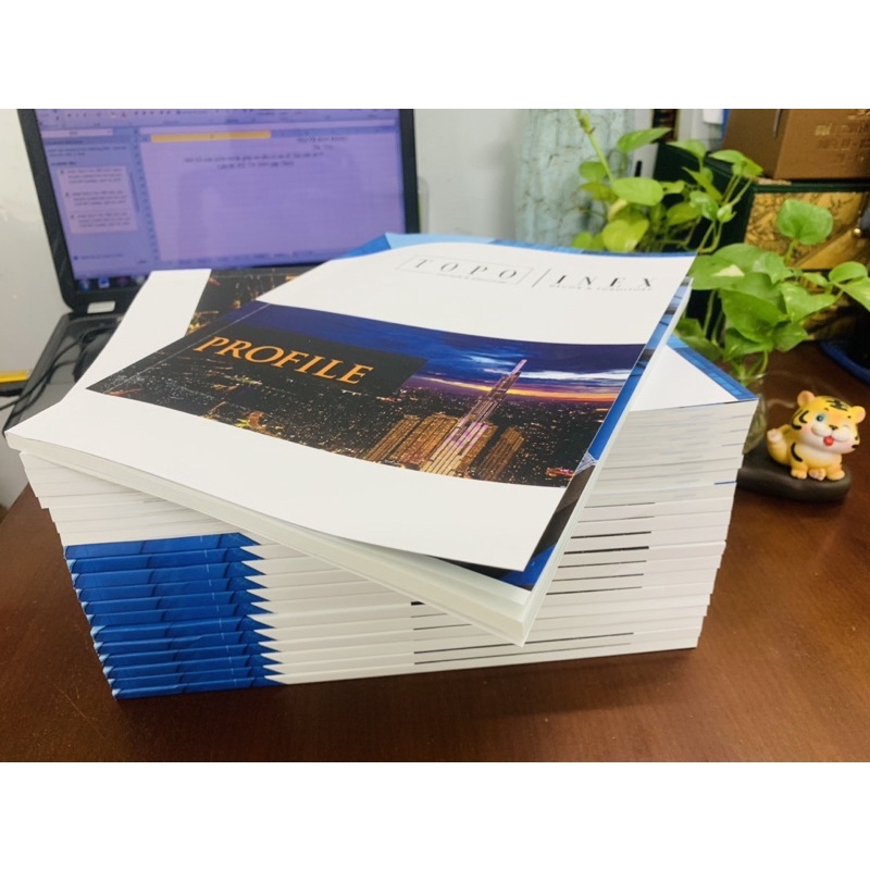 In tài liệu - Cataloge  Giá tuỳ theo số trang