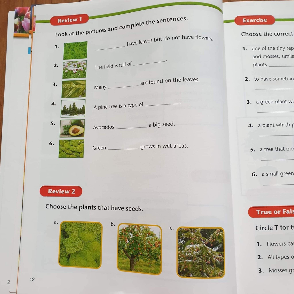 Bộ đẹp - Full Colours 8c + MP3 + Answer key - American Textbook Reading - Hot!