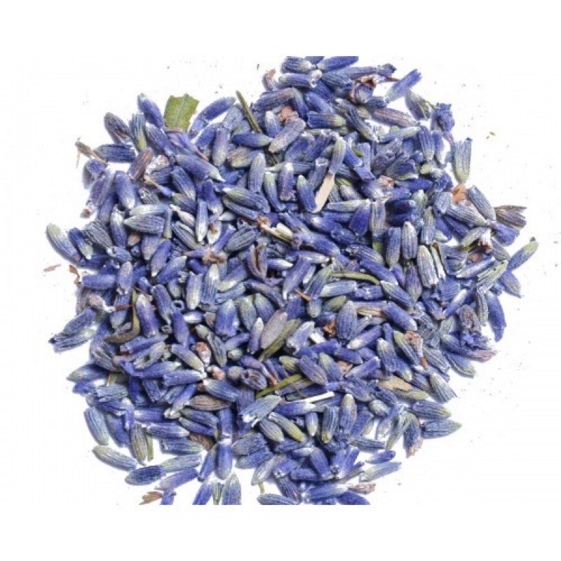 HẠT GIỐNG hoa oải Hương 4 mùa/Lavender, gói 100 hát hoa oải hương giống khỏe lẩy mầm cao