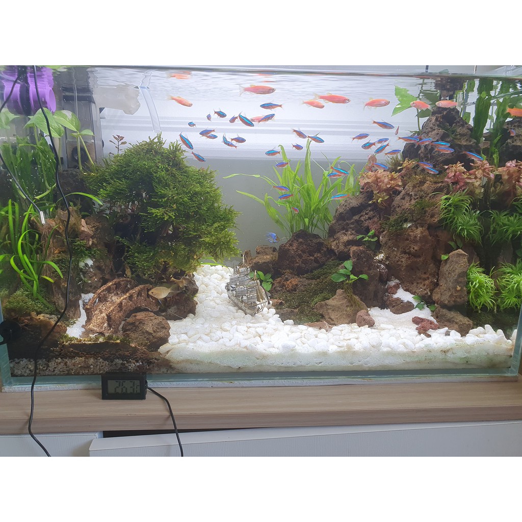 Bộ chiller mini chế cho hồ thủy sinh 30 - 60cm, bộ chế 2 sò nóng lạnh 12706 làm mát nước nuôi cá tép đóng thùng CPU đẹp