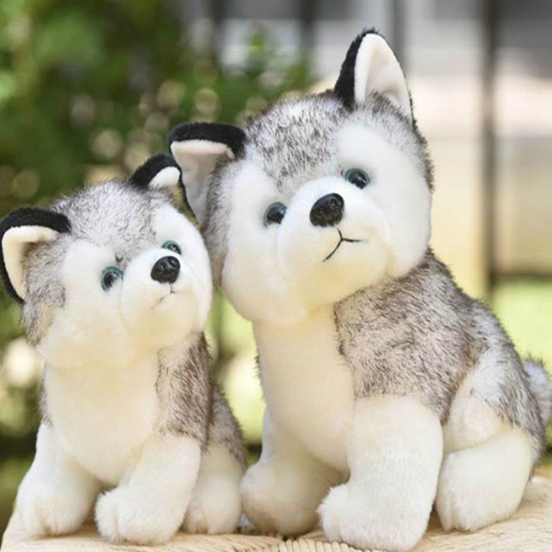 Chó Husky Nhồi Bông Mềm Mại Dễ Thương