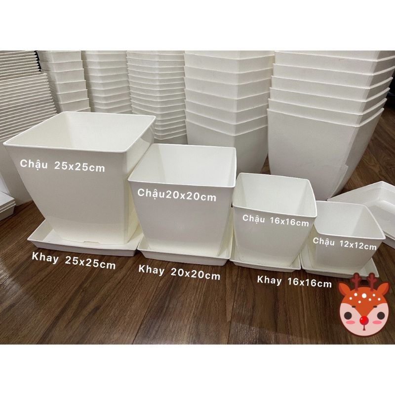 Đĩa nhựa vuông lót chậu, khay lót chậu vuông hoa cây cảnh đủ size