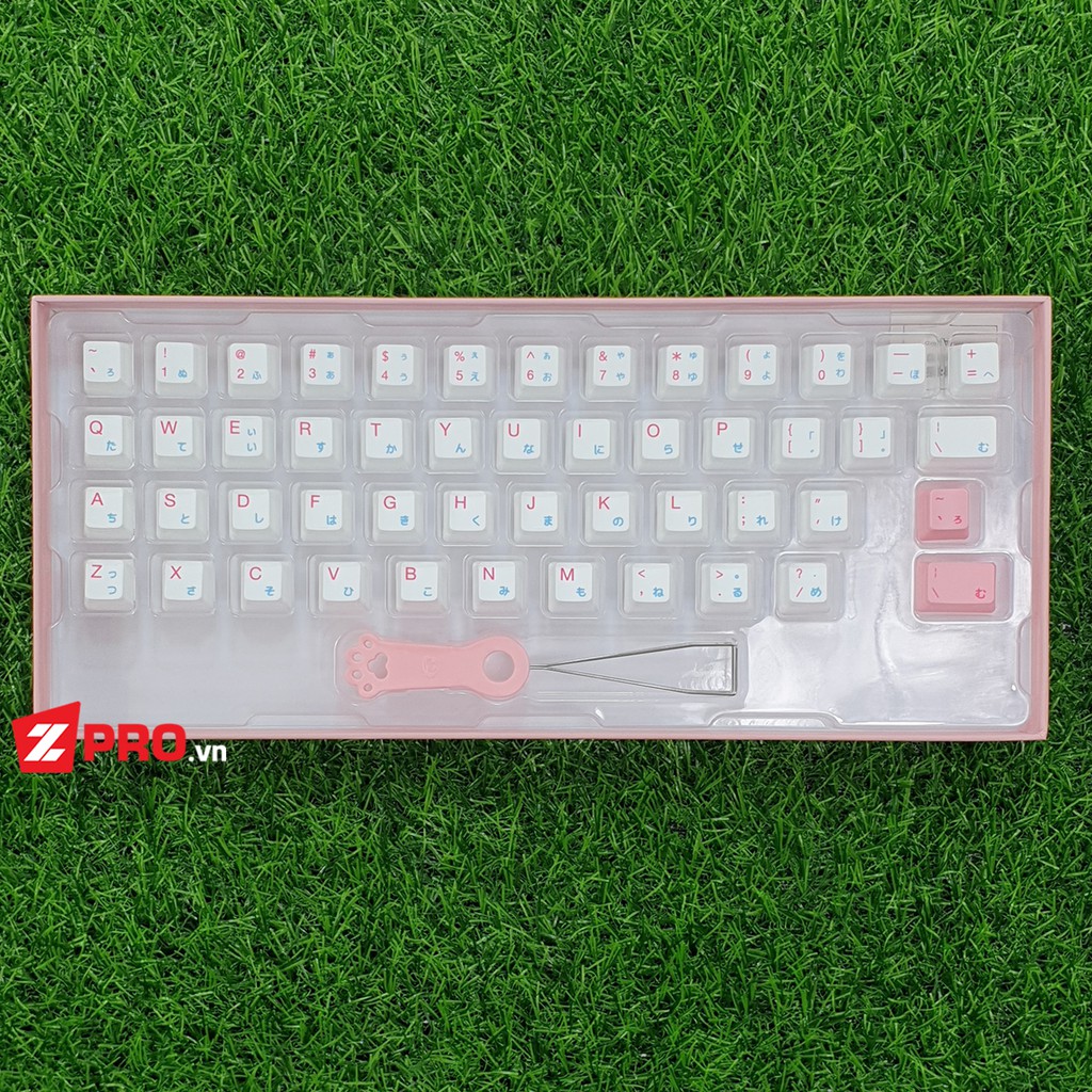 Bộ Keycap AKKO Tokyo R2 Alpha 49 Keys