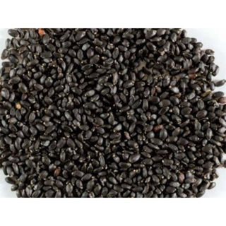 500g hạt é sạch