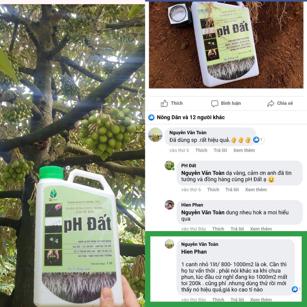 Giải Độc Đất, Nâng Nhanh Độ pH - Cải Tạo Đất, Khử Chua, Hạ Phèn, Tiết Kiệm Phân Bón - PH VIỆT NAM - pH Đất