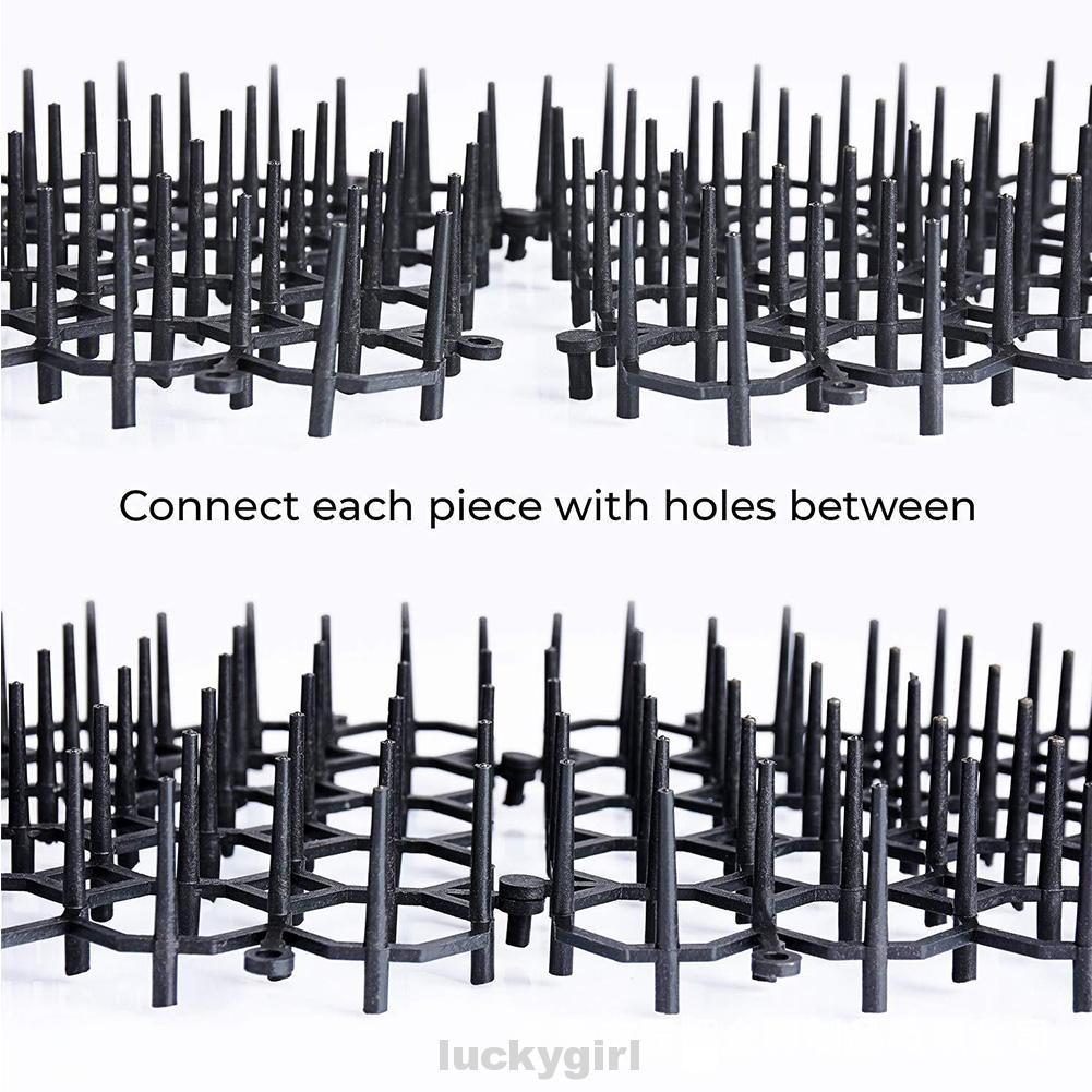 Bộ 10 thảm gai ngăn chó mèo tiến vào sân vườn chất lượng cao