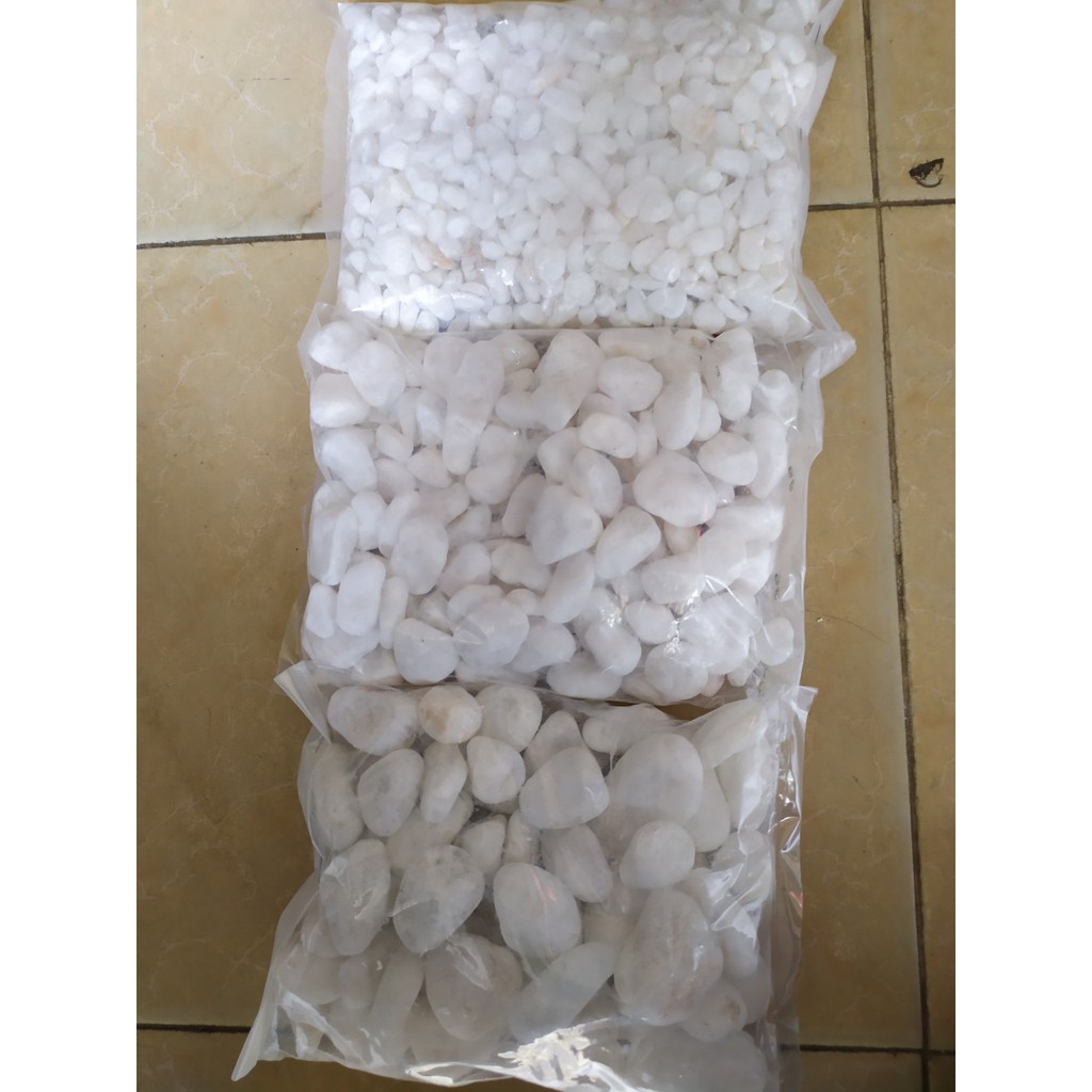 Bịch Sỏi Trắng Viên Vừa (2-3 cm) Trang Trí Hồ Cá - Phụ Kiện Bể Cá- 1Kg