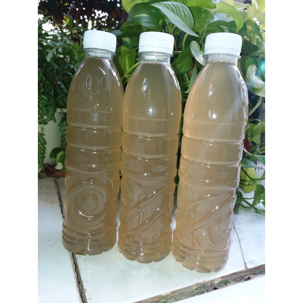 Dung dịch GE nha đam 500ml- Phân bón hữu cơ, tưới lan, hoa kiểng