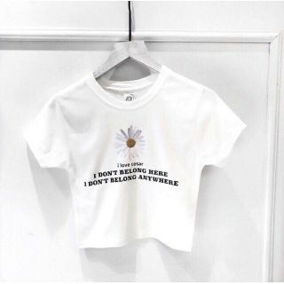 Áo thun thêu bông hoa cúc from nhỏ 45 kg trở lại vải thun cotton lụa