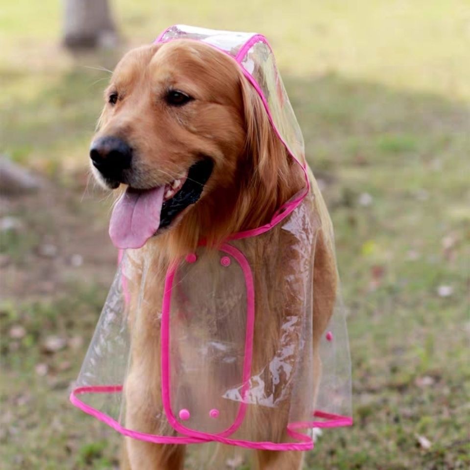 Quần áo bao gồm tất cả cho chó lớn không thấm nước vật nuôi trong suốt mưa - ảnh sản phẩm 1