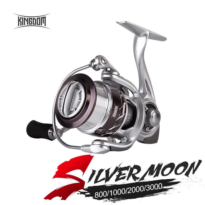 Máy Câu Cá 10 + 1BB 5.2: 1 Chuyên Nghiệp