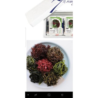 Salad Rong Biển 7 Vị 🌺FREESHIP🌺 Rong Biển thực dưỡng 110G - Nhập Khẩu Trực Tiếp Từ Hàn Quốc
