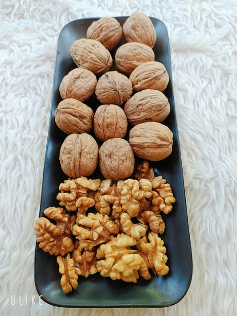 500GRAM ÓC CHÓ VÀNG MỸ | BigBuy360 - bigbuy360.vn