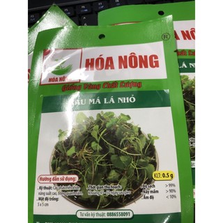 Hạt giống Rau má lá nhỏ 🌱